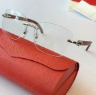 Cartier High Quality Sunglasses 1011