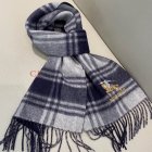 Burberry Scarves 22
