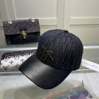 DIOR Hats 41