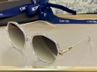 DIOR High Quality Sunglasses 1529
