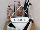 CELINE Original Quality Handbags 566