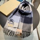 Burberry Scarves 246