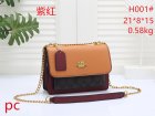 Coach Normal Quality Handbags 221