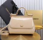 Dolce & Gabbana Original Quality Handbags 127