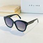 CELINE High Quality Sunglasses 316