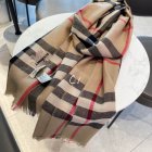 Burberry Scarves 300