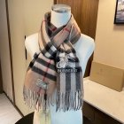 Burberry Scarves 126
