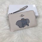 Coach High Quality Wallets 38