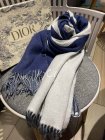 DIOR Scarves 60