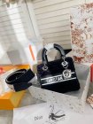 DIOR High Quality Handbags 356