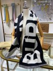 Burberry Scarves 260