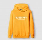 Burberry Men's Hoodies 36