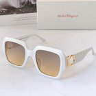 Salvatore Ferragamo High Quality Sunglasses 491
