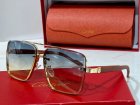 Cartier High Quality Sunglasses 325