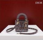 DIOR High Quality Handbags 420