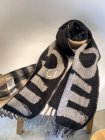 Burberry Scarves 244