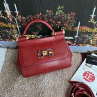Dolce & Gabbana High Quality Handbags 221