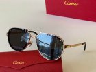 Cartier High Quality Sunglasses 167