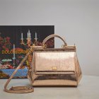 Dolce & Gabbana Original Quality Handbags 421