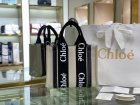 Chloe Original Quality Handbags 164