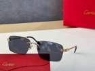 Cartier High Quality Sunglasses 1051