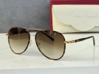 Salvatore Ferragamo High Quality Sunglasses 509