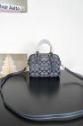 Coach High Quality Handbags 999