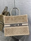 DIOR High Quality Handbags 490