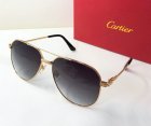 Cartier High Quality Sunglasses 256
