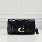 Coach High Quality Handbags 233