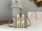 Chloe Original Quality Handbags 160