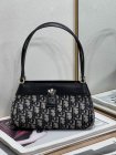DIOR High Quality Handbags 54