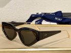 DIOR High Quality Sunglasses 1197