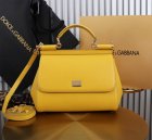 Dolce & Gabbana Original Quality Handbags 119