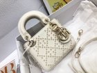 DIOR Original Quality Handbags 1109