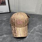 DIOR Hats 156