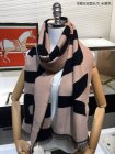 Burberry Scarves 412