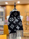 Louis Vuitton Scarves 277