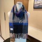 Burberry Scarves 116