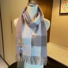 Burberry Scarves 257