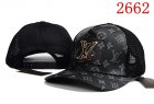 Louis Vuitton Normal Quality Hats 48