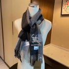 Burberry Scarves 254