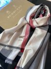 Burberry Scarves 434