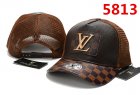 Louis Vuitton Normal Quality Hats 49