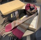 Burberry Scarves 183