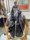 Louis Vuitton Scarves 151