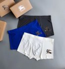 Burberry Men's Underwear 17