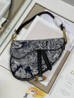 DIOR Original Quality Handbags 439