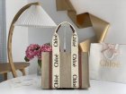Chloe Original Quality Handbags 148