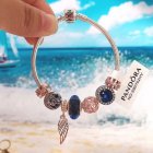 Pandora Jewelry 434